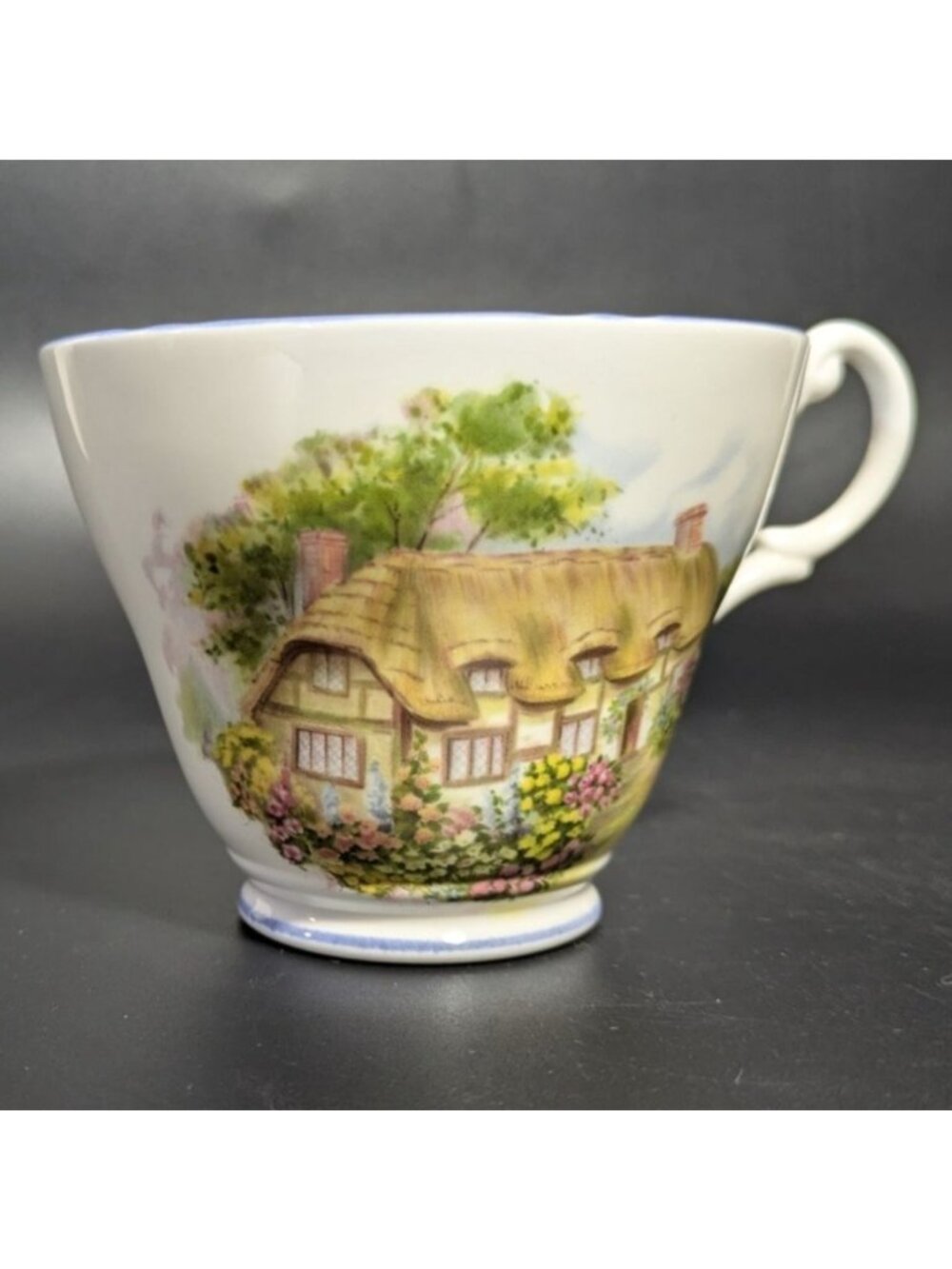 Allyn Nelson Fine Bone China Cottage Teacup Floral Cottage England Vintage